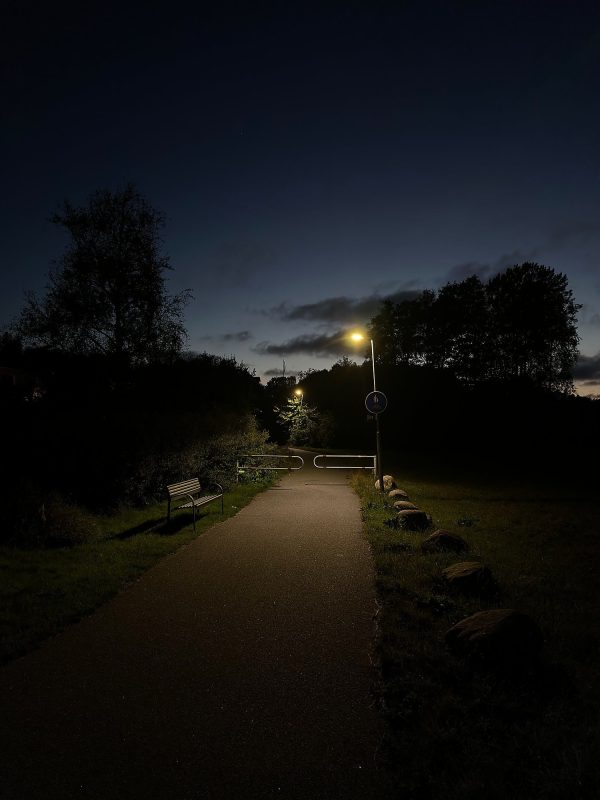 Night life