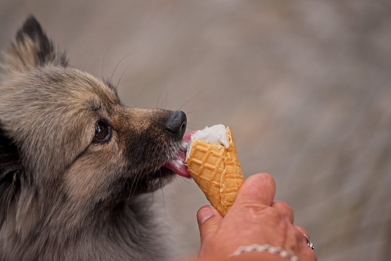 Icecream