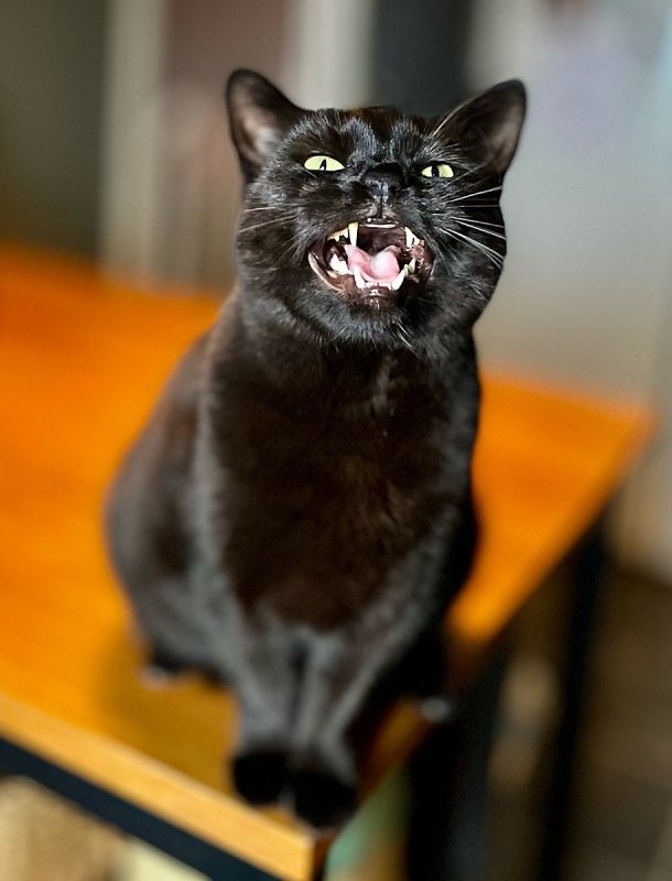 Linus