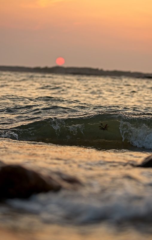 Evening waves