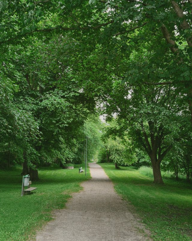 Midsummers walk